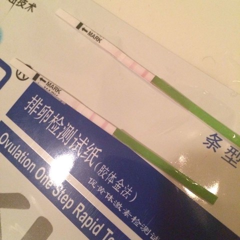 journal_insert_pic_126542641
