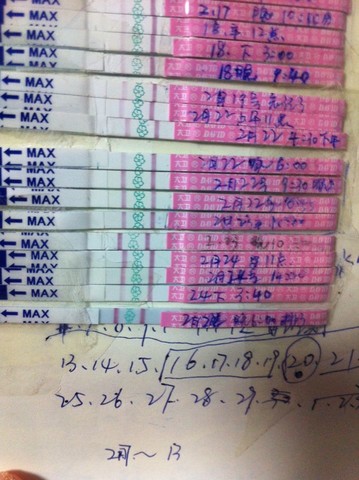 journal_insert_pic_126655006
