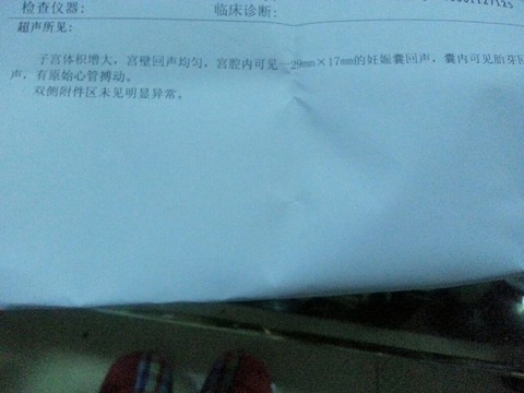 journal_insert_pic_126647414