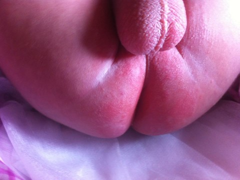 journal_insert_pic_126942314