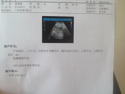 journal_insert_pic_127155200