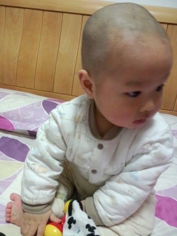 journal_insert_pic_127463102