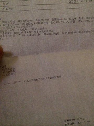 journal_insert_pic_127735720