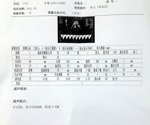 journal_insert_pic_127788456