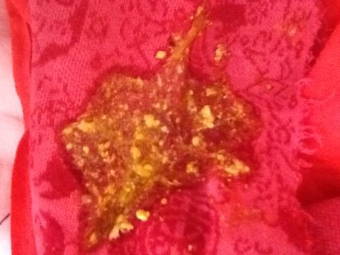 journal_insert_pic_128024282