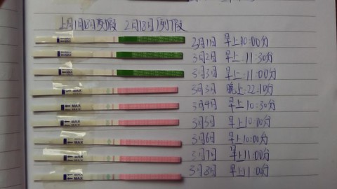 journal_insert_pic_128157885