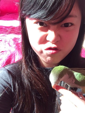 journal_insert_pic_128582124