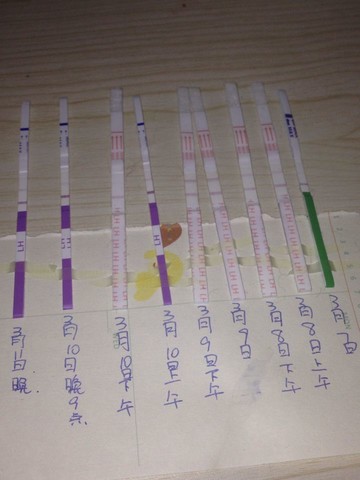 journal_insert_pic_128607068