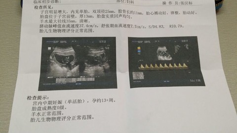 journal_insert_pic_129110508