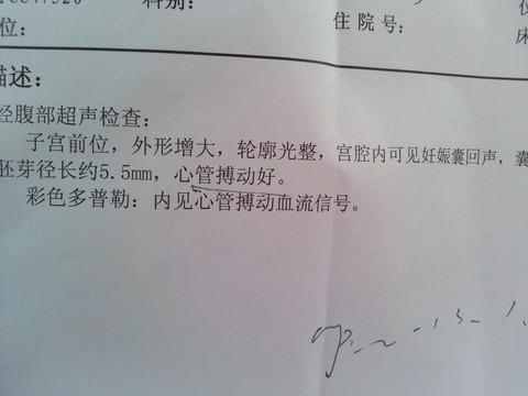 journal_insert_pic_129275704
