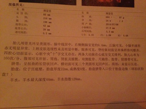 journal_insert_pic_129543090