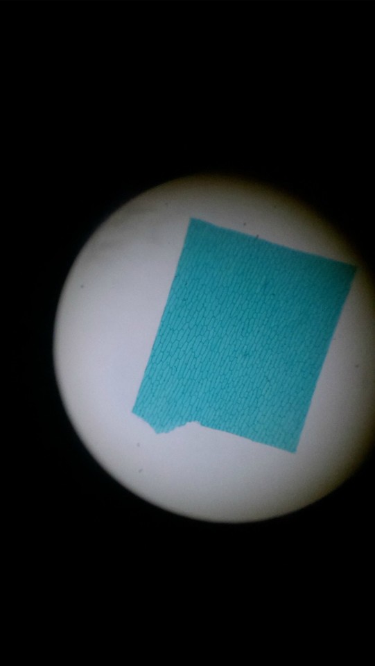journal_insert_pic_129735637