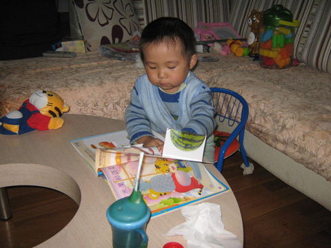 journal_insert_pic_129736043