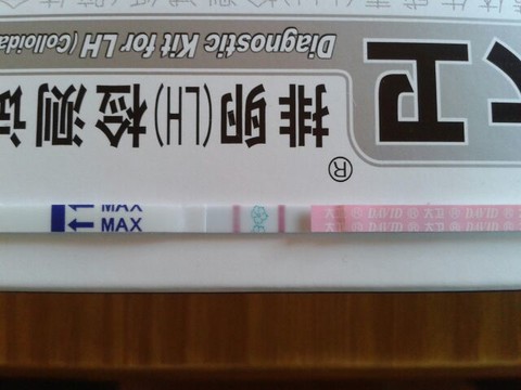journal_insert_pic_129865991