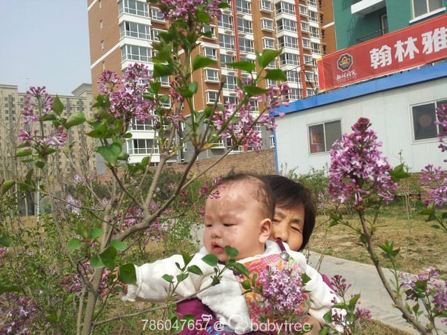 journal_insert_pic_130732696