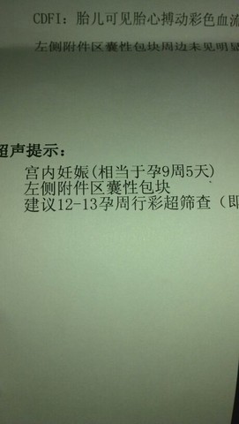 journal_insert_pic_131233416