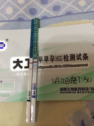 journal_insert_pic_131213476