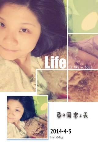 journal_insert_pic_131415321