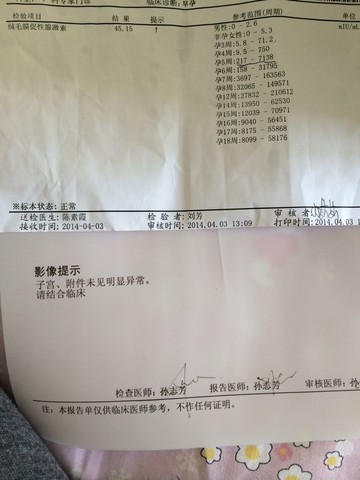 journal_insert_pic_131664821