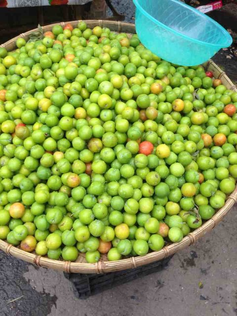 哪里有酸李子卖了