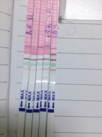 journal_insert_pic_133294467