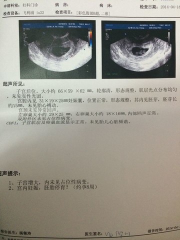 journal_insert_pic_133245726