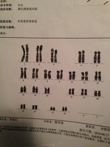 journal_insert_pic_133711466