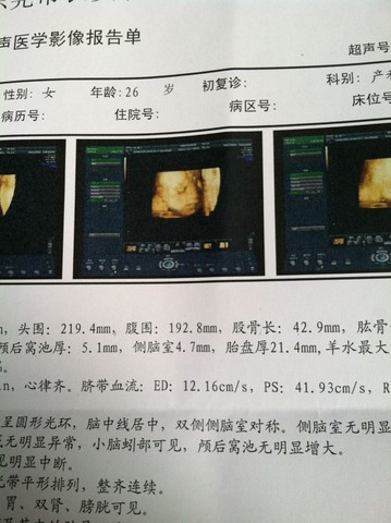 journal_insert_pic_133795272