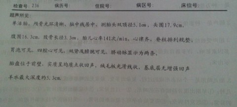 journal_insert_pic_133951157