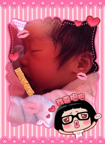 journal_insert_pic_134260803
