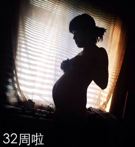journal_insert_pic_134530144