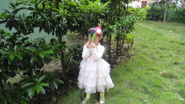 journal_insert_pic_134717749