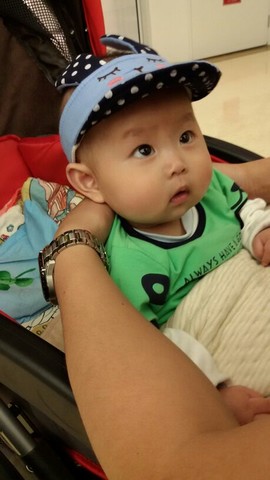 journal_insert_pic_135853824