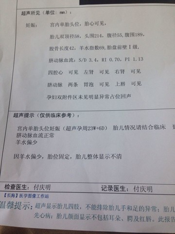 journal_insert_pic_135740551