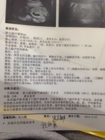 journal_insert_pic_135857552