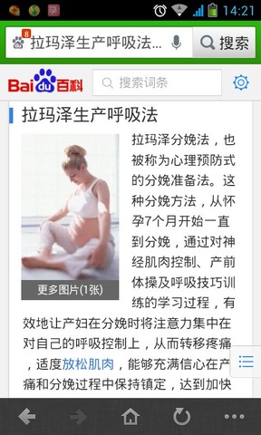 journal_insert_pic_136856681