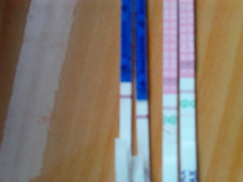 journal_insert_pic_137398184