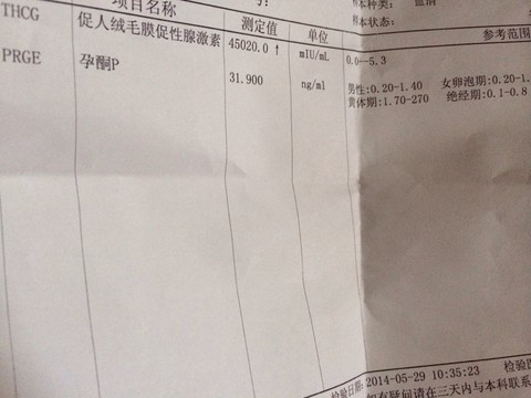 journal_insert_pic_138916333