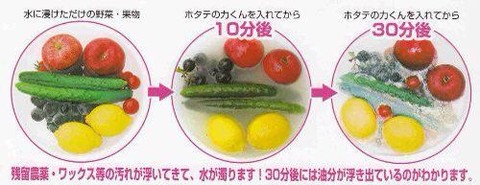 journal_insert_pic_139009843