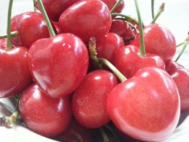 自家大樱桃,显摆下