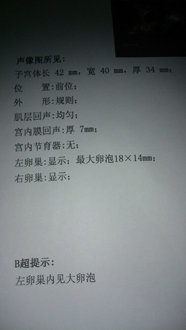 journal_insert_pic_139238894