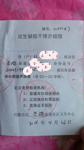 journal_insert_pic_139525197