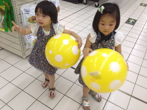 journal_insert_pic_139701583