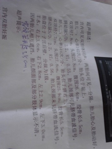 journal_insert_pic_139688827
