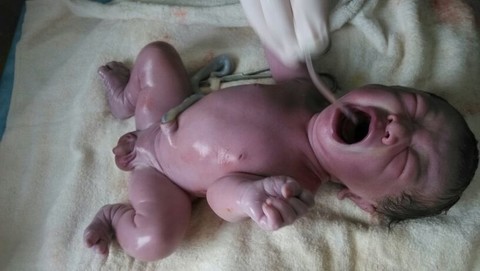 journal_insert_pic_140166650