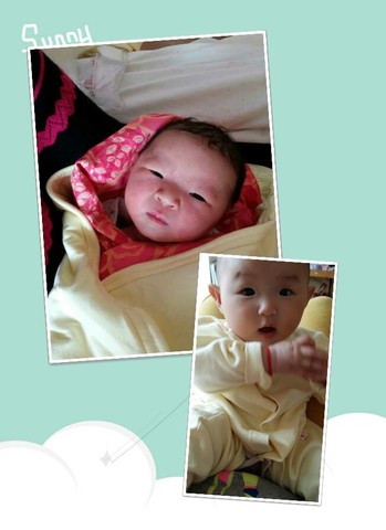 journal_insert_pic_140398698