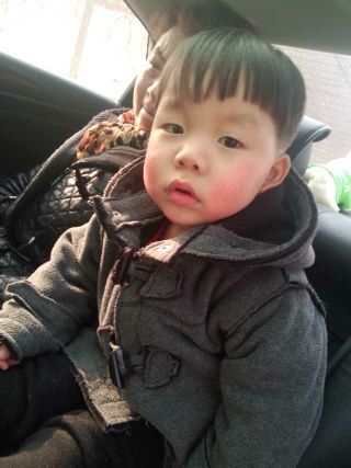 journal_insert_pic_141166500