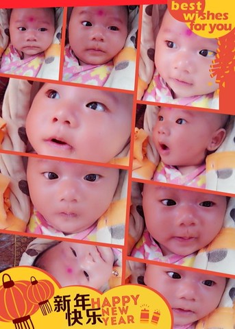 journal_insert_pic_142864767