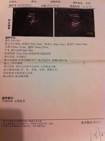 journal_insert_pic_143193445