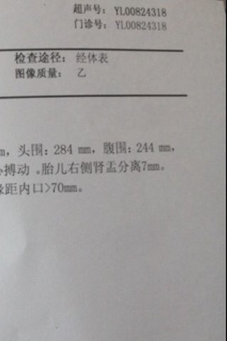 journal_insert_pic_143976516